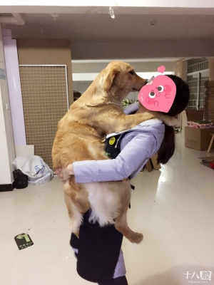 赤峰狗狗走丟電話多少號(hào)-第1張圖片