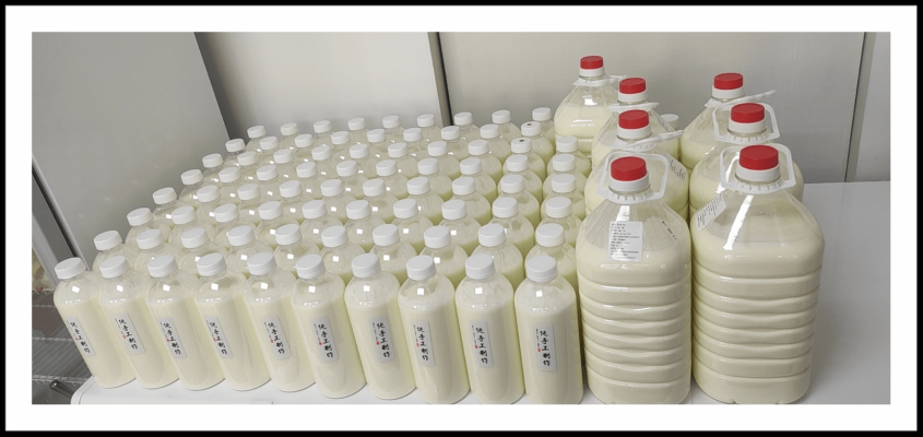 赤峰哪有老酸奶賣呀電話號碼-第1張圖片