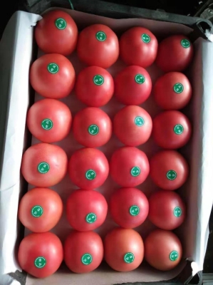 赤峰小西紅柿館電話號(hào)碼多少-第1張圖片