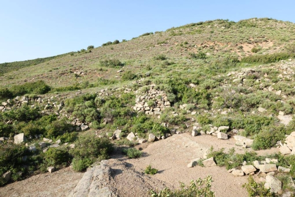 赤峰蒙帝酒館電話號(hào)碼多少-第1張圖片