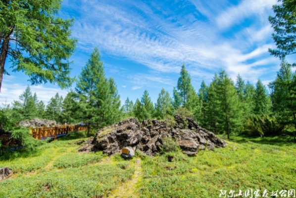 赤峰迪娜酒吧電話多少號-第1張圖片