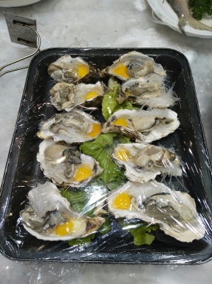 赤峰寧城撈魚(yú)電話號(hào)碼多少號(hào)-第1張圖片