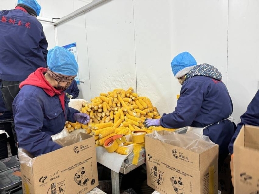 赤峰稻草糧倉廠家電話地址查詢-第1張圖片