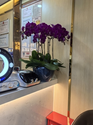 赤峰梵慕護(hù)膚造型店電話(huà)號(hào)碼-第1張圖片