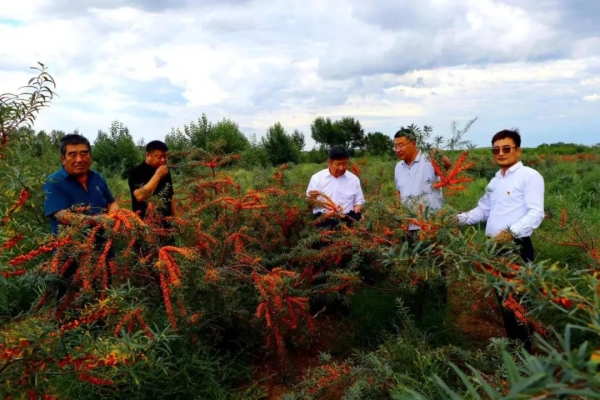深圳赤峰沙棘專賣店電話號碼-第1張圖片