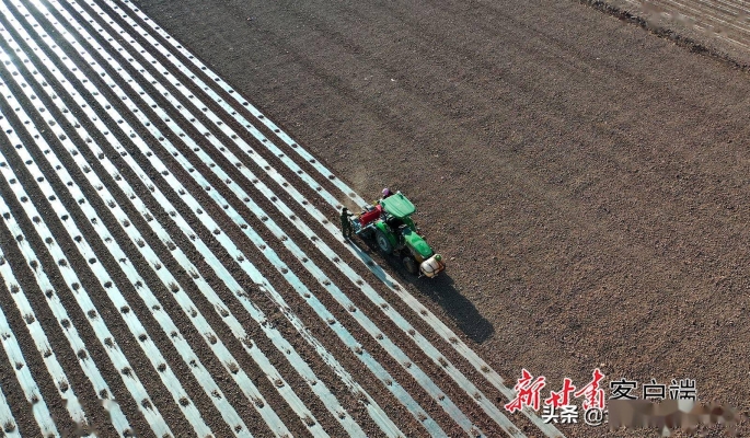 赤峰裕隆玉米制種場電話號碼-第1張圖片