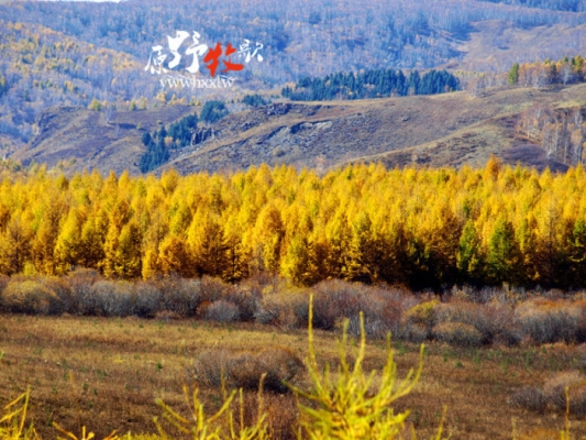 赤峰閑庭旅游景點(diǎn)電話號碼-第1張圖片