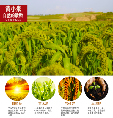 赤峰小米經(jīng)銷商電話地址查詢-第1張圖片