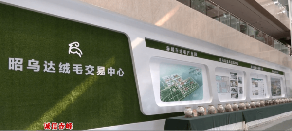 赤峰市互聯(lián)網(wǎng)電話號碼-第1張圖片