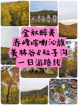 赤峰到平莊客車隨車電話號(hào)碼-第1張圖片