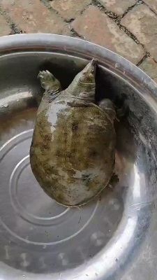 赤峰市水產(chǎn)批發(fā)-第1張圖片