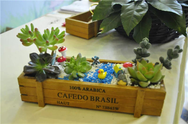 赤峰新城娃娃機電話號碼查詢-第1張圖片