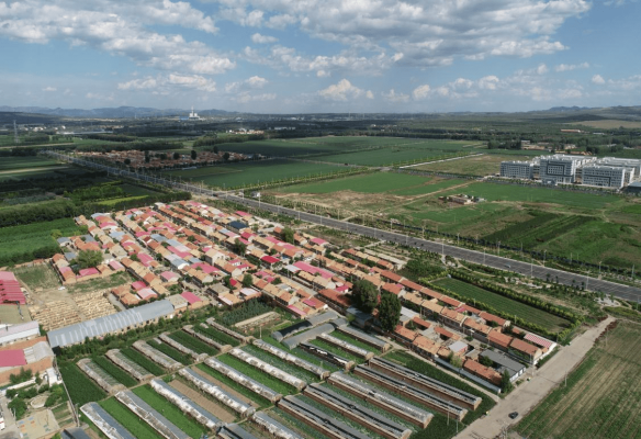 赤峰紅山送菜電話多少號碼-第1張圖片