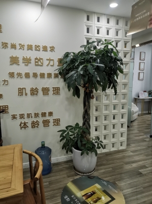 赤峰飛揚(yáng)美業(yè)電話號(hào)碼查詢(xún)-第1張圖片