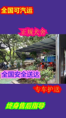 赤峰市薩摩耶犬舍電話號(hào)碼-第1張圖片