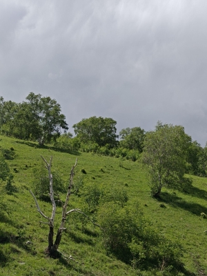 內(nèi)蒙古赤峰市老虎山-第1張圖片