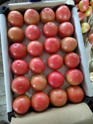 赤峰寧城縣萬(wàn)商城電話號(hào)碼-第1張圖片