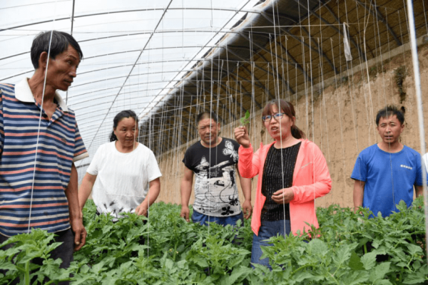 赤峰種植戶有電話號(hào)碼嗎-第1張圖片