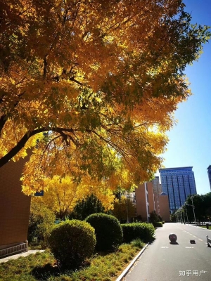 赤峰南站羽毛球場(chǎng)電話號(hào)碼-第1張圖片