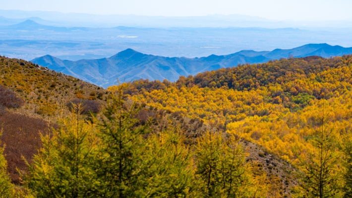 赤峰醉火酒業(yè)-第1張圖片