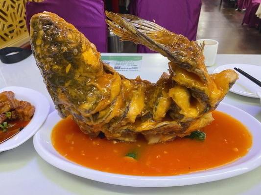 赤峰裕禾水餃店電話地址查詢-第1張圖片