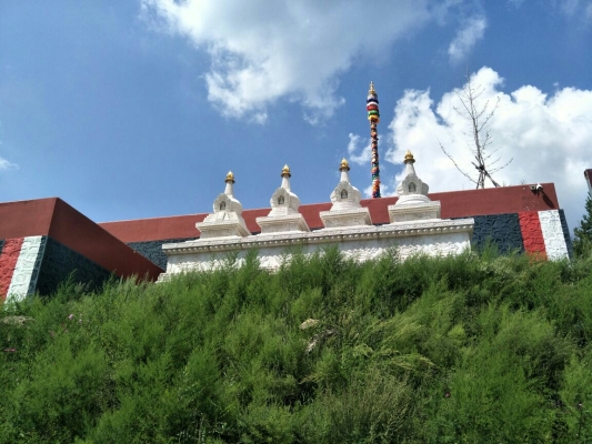 赤峰康寧寺藏藥店電話地址查詢-第1張圖片