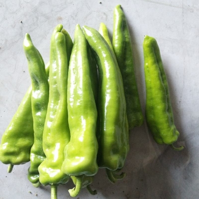 赤峰新新蔬菜批發(fā)電話地址查詢-第1張圖片