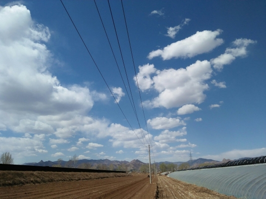 赤峰寧城豆包店電話號碼多少-第1張圖片