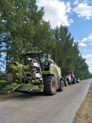 赤峰收購玉米電話多少號碼-第1張圖片