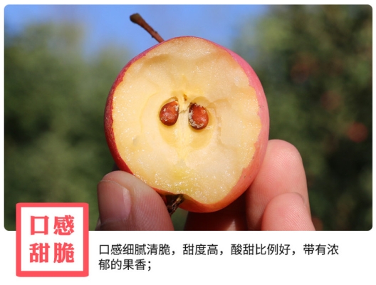 赤峰市沙果采摘園電話號碼-第1張圖片