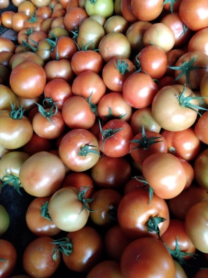 赤峰喀喇沁寵物樂園電話號(hào)碼-第1張圖片