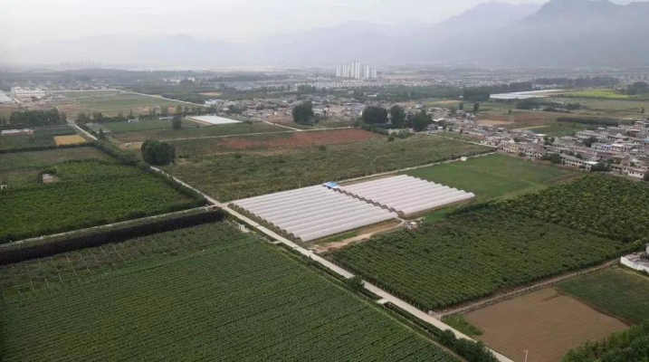 赤峰市莊園農(nóng)資店電話號(hào)碼-第1張圖片