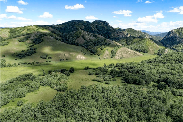 赤峰市印象主題電話地址查詢-第1張圖片