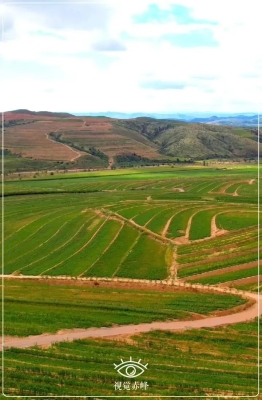 赤峰棚膜顆粒廠家電話號碼-第1張圖片