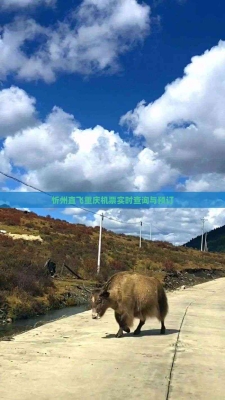 赤峰到信陽機(jī)票查詢電話號(hào)碼-第1張圖片