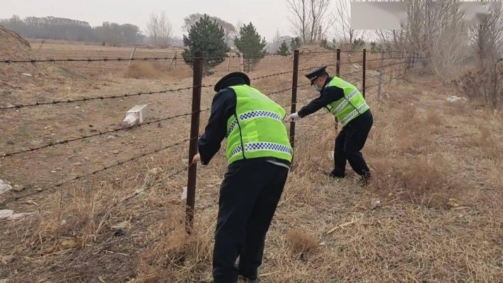 赤峰牲畜防疫站地址電話號碼-第1張圖片