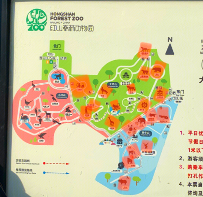 赤峰附近哪有動物園-第1張圖片