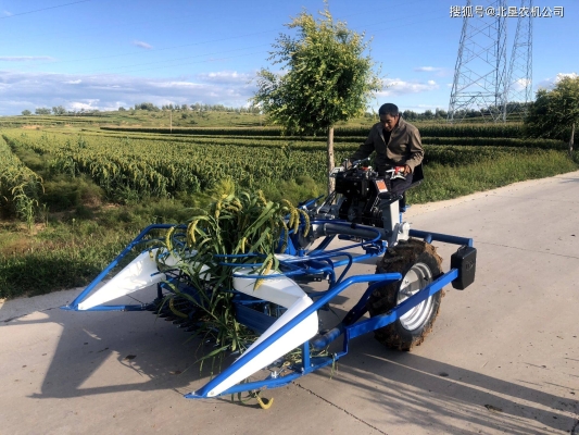 赤峰谷子草捆回收電話號碼-第1張圖片