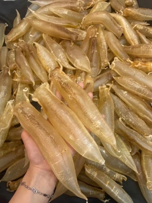 赤峰膠針供應(yīng)商電話號(hào)碼-第1張圖片