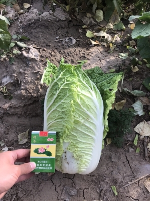 赤峰線上訂菜平臺(tái)電話號(hào)碼-第1張圖片