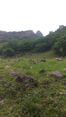 赤峰美林谷收費站電話號碼-第1張圖片