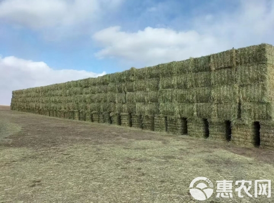 赤峰燕麥銷(xiāo)售公司電話號(hào)碼查詢-第1張圖片