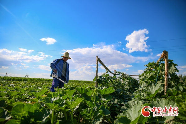 赤峰隴田面店訂餐電話地址查詢-第1張圖片