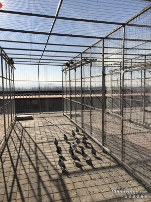 赤峰景觀休閑棚廠家電話號碼-第1張圖片