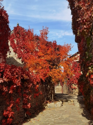 赤峰古楓美發(fā)電話地址查詢-第1張圖片