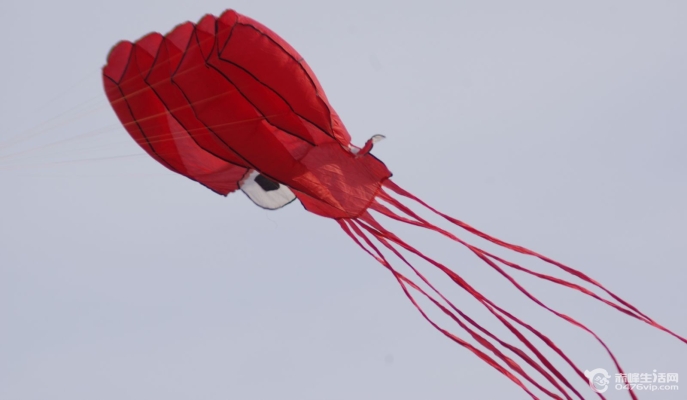 赤峰二龍垂釣園電話號碼-第1張圖片