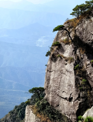 赤峰懷眾大藥房電話地址查詢-第1張圖片