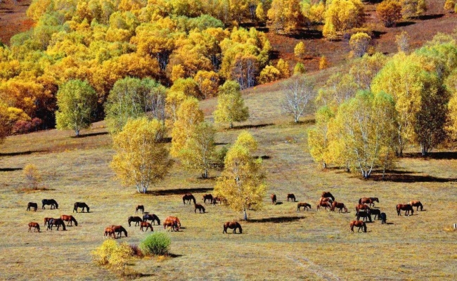 赤峰喬淑香西醫(yī)診所電話號碼-第1張圖片