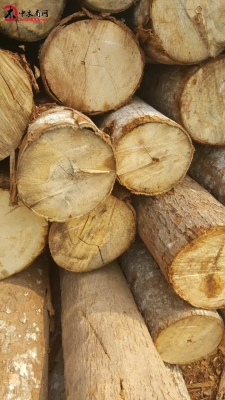 赤峰附近木材加工廠電話號碼-第1張圖片