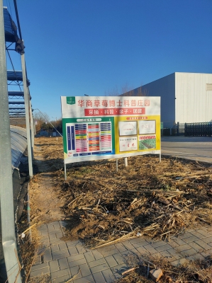 赤峰采摘園草莓基地電話號碼-第1張圖片